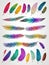 Colorful feather vector set on a white background is a captivating collection, showcasing the exquisite beauty of nature.