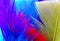 Colorful feathers background