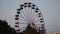 Colorful Ferris wheel in the old park in the evening