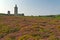 Colorful field of purple and yellow flowers with lighthouse in the background. Cape of Frehel. Brittany.