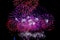 Colorful fireworks,Beautiful multi color fireworks explosions lighting sky over trees silhouette and over an illuminated,