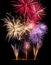 Colorful fireworks display on black