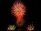 Colorful fireworks of various colors light up the night sky