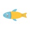 Colorful fish, sea animal. An inhabitant of the sea world, a cute underwater creature