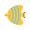 Colorful fish, sea animal. An inhabitant of the sea world, a cute underwater creature