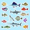 Colorful fish stickers set