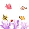 Colorful fish tank. Fish tank setup. Beautiful fishes in fish tank