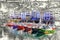 Colorful fishing boats in Luarca, Asturias, Spain.