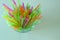 Colorful flexible drinking straws for birhday parties