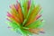 Colorful flexible drinking straws for parties in glass