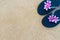 Colorful flip flops on the sandy beach.  Black slippers with a pink flower on the sand