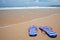 Colorful flipflop footware on sea beach