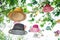 Colorful floating hat under big tree at outdoors park. Object an