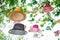 Colorful floating hat under big tree at outdoors park. Object and background concept. Nature and Handmade theme