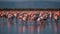 A colorful flock of flamingos wading in a shallow lake created with Generative AI