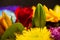 Colorful floral arrangement detailed photo