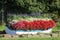 Colorful floral display in old boat at roadside