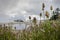 Colorful floral foreground in front of Oregon Coastline