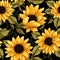 Colorful Floral Pattern With Large Yellow Sunflowers On Black Background