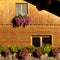 Colorful Flower Arragement on the windows