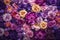 Colorful flower backdrop with purple and violet roses