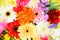 Colorful flower background - bright and fresh spring flowers bunch gerbera chrysanthemum summer plant and green tropical leaf