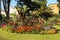 Colorful Flower Bed in Park with Red Abyssinian Banana Ensete Ventricosum Maurelii Planted in the Center