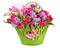 Colorful flower bouquet arrangement centerpiece in baby basket i