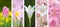 Colorful flower collage with white vertical lines, radiant light capturing natural beauty