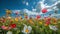 Colorful Flower Field Beneath Blue Sky