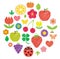 Colorful  flower and fruits etc. illustration. Arranged in a circle.
