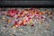 Colorful flower petals on stairs on registry office