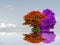 colorful flower on tree reflection dark sky cloud