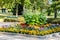 Colorful flowerbed with dahlia, begonia, salvia, marigold and sweet tobacco in the city park