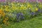 Colorful flowerbed in spring with pansies, daffodils, tulips