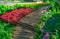 Colorful flowering plant and green shrub decorated under group of trees in a good care maintenance garden, curve wooden walkway