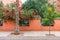 Colorful Flowering Plants and Trees with a Fence along a Sidewalk in Marrakesh Morocco