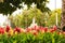 Colorful flowers adorn the Fuente de Sevilla, is a fountain located in the Puerta de Jerez.