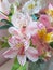 Colorful flowers Alstroemeria. Bouquet multi-colored flower in glass vase.