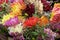 Colorful flowers background. Various flowers background.Colorful. Bouquet of various flowers