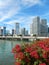 Colorful flowers Biscayne bay skyline photo