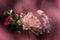 Colorful flowers with a blurry front and background.