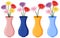 Colorful flowers in four vases on white background