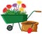 Colorful flowers in green wagon on white background