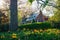 Colorful flowers and house in Guilford, Baltimore, Maryland