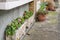 Colorful flowers in pots in front of the building, two rectangul