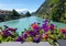 Colorful flowers on the river - flores coloridas sobre el rio