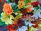 Colorful flowers variety background image
