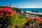 Colorful flowers and view of San Clemente State Beach