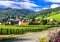 Colorful flowers,vineyards and little village,Husseren le chateaux,Alsace,France.